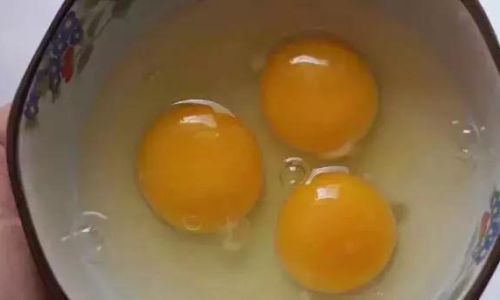 How to Discern the Quality of Free-Range Eggs