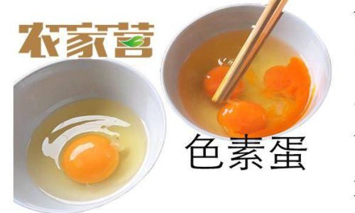 How to Discern the Quality of Free-Range Eggs