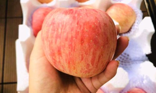 How to Discern the Quality of Apples:A Comprehensive Guide