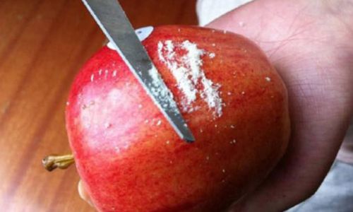 How to Discern the Quality of Apples:A Comprehensive Guide