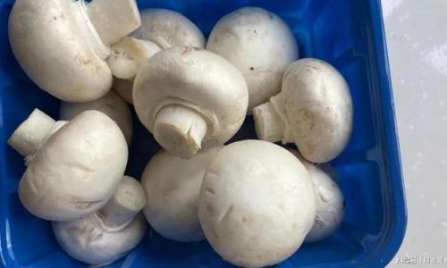 How to Discern Whether Mushrooms Are Bleached:A Comprehensive Guide