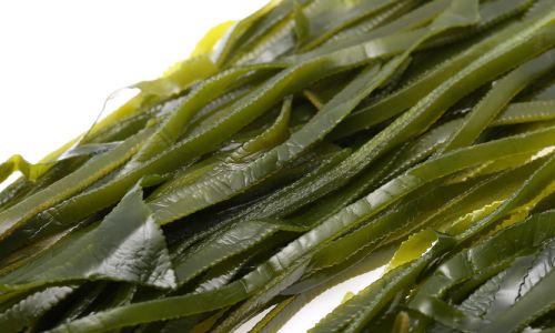 How to Discern the Quality of Seaweed:A Comprehensive Guide to Selecting the Best Kelp