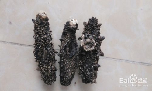 How to Discern the Quality of Dried Sea Cucumbers