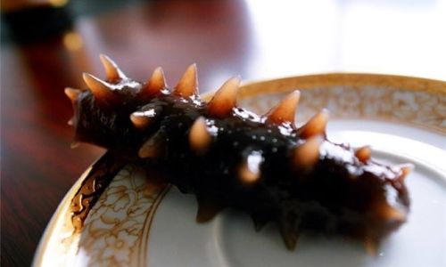 How to Discern the Quality of Dried Sea Cucumbers