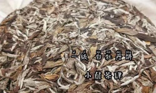 Discerning the Quality of White Tea Bricks:A Comprehensive Guide