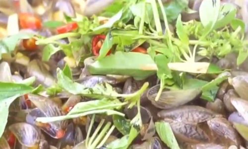 Mastering the Art of Stir-Frying Clams:A Comprehensive Guide