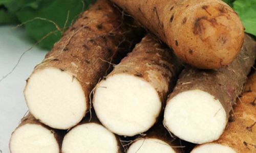 How to Preserve Yam Freshness Effectively