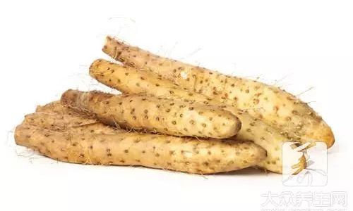 How to Preserve Yam Freshness Effectively