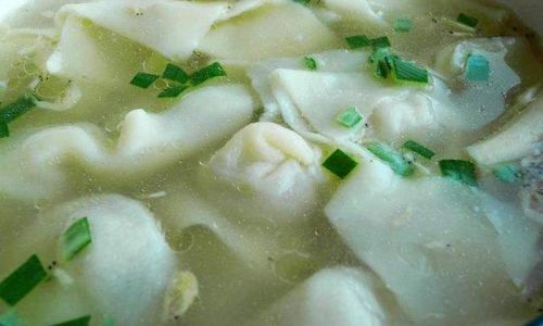 How to Preserve Cooked Wonton Noodles Effectively