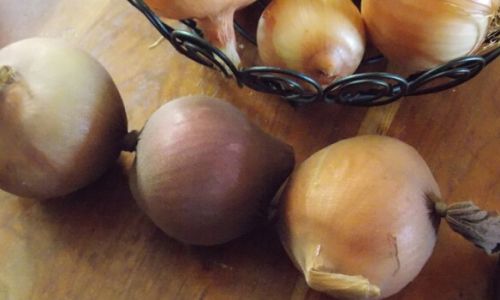 How to Preserve Onions for Optimal Freshness and Longevity