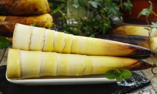 How to Preserve Fresh Bamboo Shoots for Optimal Freshness