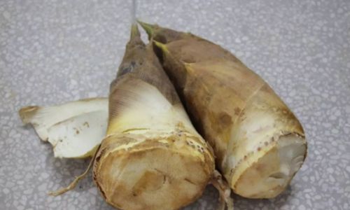 How to Preserve Fresh Bamboo Shoots for Optimal Freshness