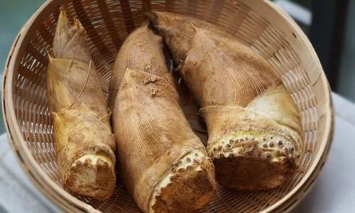 How to Preserve Fresh Bamboo Shoots for Optimal Freshness