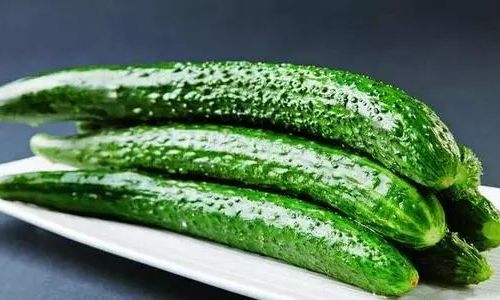 How to Preserve Fresh Mustard Greens for Optimal Freshness