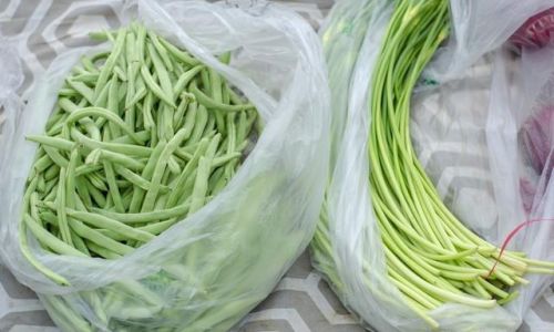 How to Preserve Fresh Garlic Sprouts for Optimal Freshness