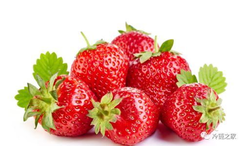 How to Preserve Fresh Strawberries:A Comprehensive Guide