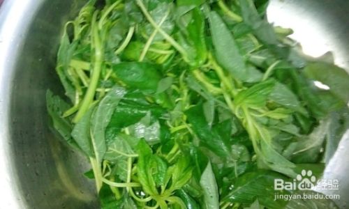 How to Preserve Amaranth Leaves:A Comprehensive Guide