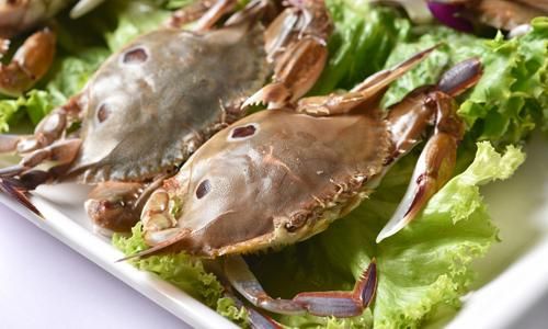 How to Preserve Sea Crabs Portunus Trituberculatus)Effectively