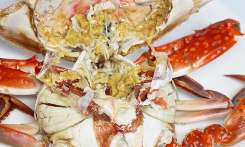 How to Preserve Sea Crabs Portunus Trituberculatus)Effectively