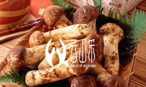 How to Preserve Matsutake Mushrooms:A Comprehensive Guide