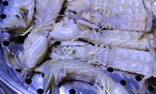 How to Preserve Cooked Mantis Shrimp Squilla)
