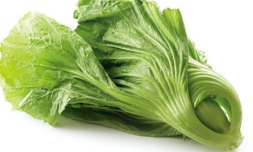 How to Prolong the Shelf Life of Vegetables