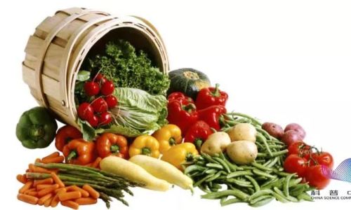 How to Preserve Vegetables for Optimal Freshness and Longevity