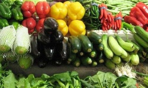 How to Preserve Vegetables for Optimal Freshness and Longevity