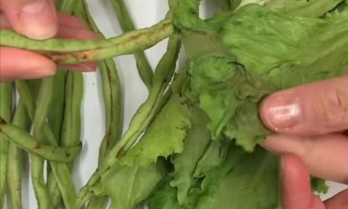 How to Preserve Vegetables for Optimal Freshness and Longevity