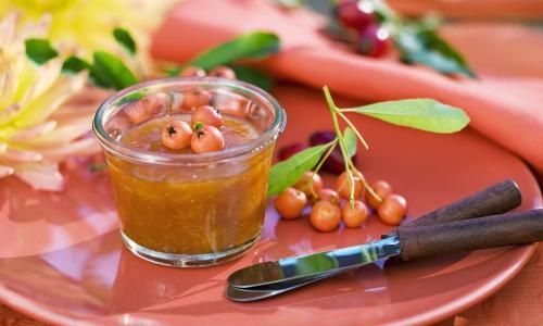 How to Preserve Seabuckthorn Jam:A Comprehensive Guide