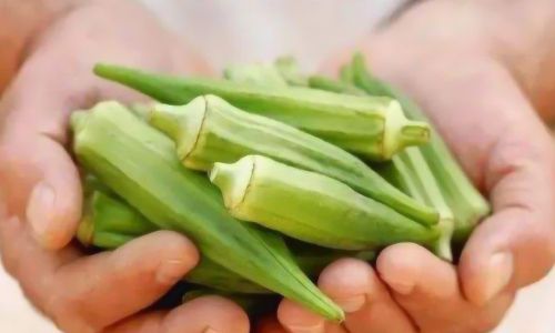 How to Preserve Okra for Optimal Freshness and Longevity