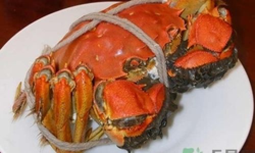 How to Preserve Green Crabs:A Comprehensive Guide