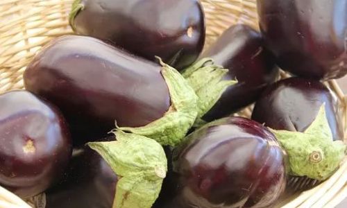 How to Prolong the Shelf Life of Eggplants