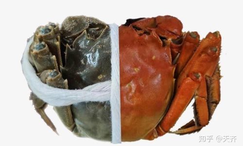 How to Preserve Crabs Simply