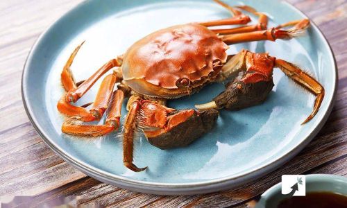 How to Preserve Crabs Simply