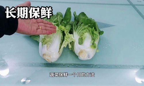 How to Preserve Lotus Root:A Comprehensive Guide
