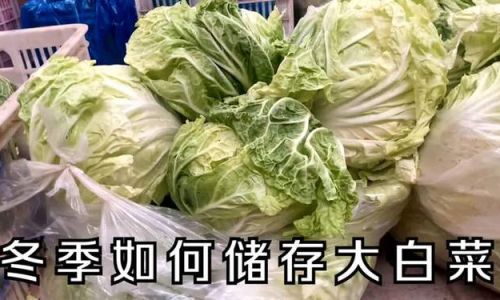 How to Preserve Lotus Root:A Comprehensive Guide