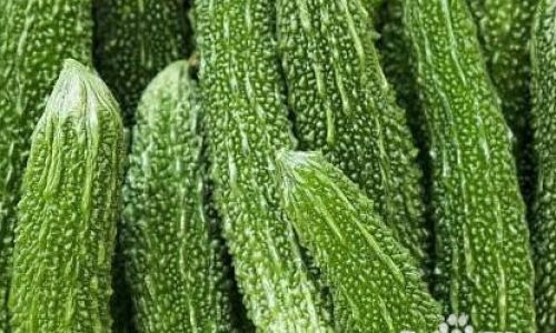 How to Preserve Bitter Gourd for Optimal Freshness and Flavor