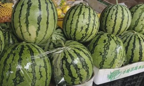 How to Keep Your Sliced Watermelon Fresh