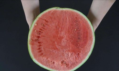 How to Keep Your Sliced Watermelon Fresh