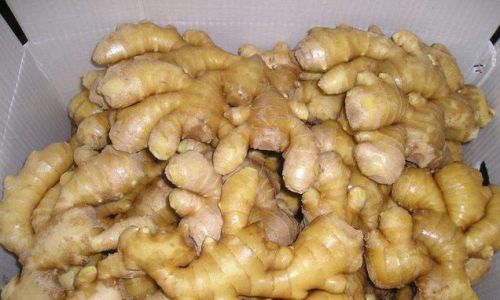 How to Preserve Ginger:A Comprehensive Guide