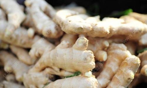 How to Preserve Ginger:A Comprehensive Guide