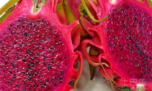 How to Preserve Dragon Fruit for Optimal Freshness and Enjoyment