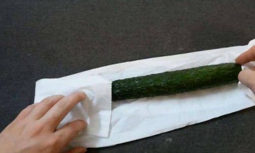The Simplest Way to Preserve Cucumbers:A Step-by-Step Guide