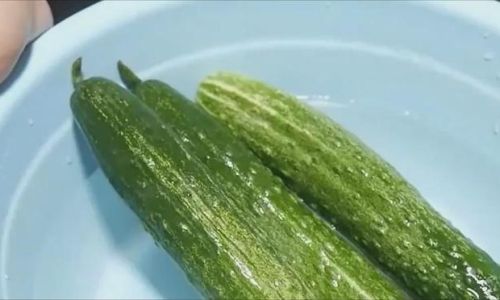 How to Preserve Cucumbers:A Comprehensive Guide