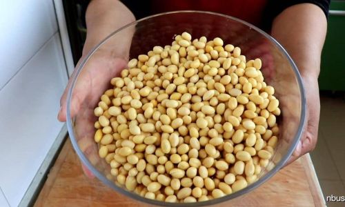 How to Preserve Soybeans Effectively