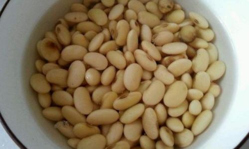 How to Preserve Soybeans Effectively