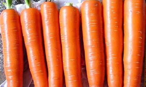 How to Preserve Carrots for Optimal Freshness and Longevity