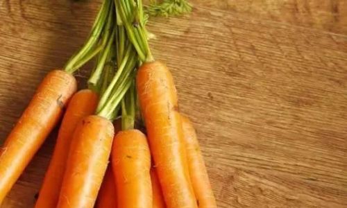 How to Preserve Carrots for Optimal Freshness and Longevity