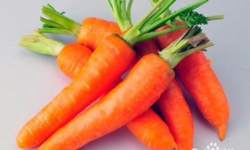 How to Preserve Carrots for Optimal Freshness and Longevity